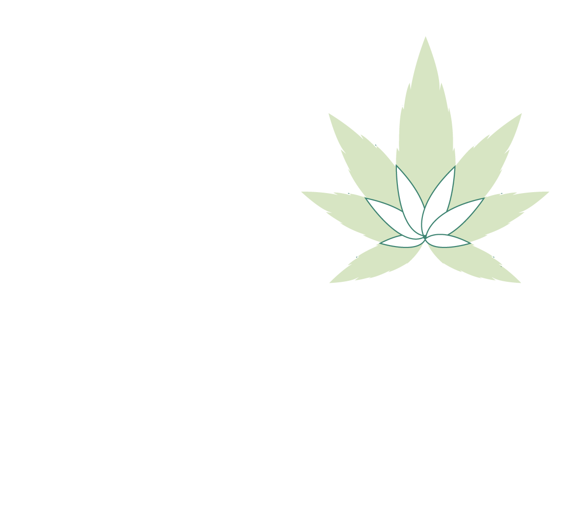 New Life Corporation